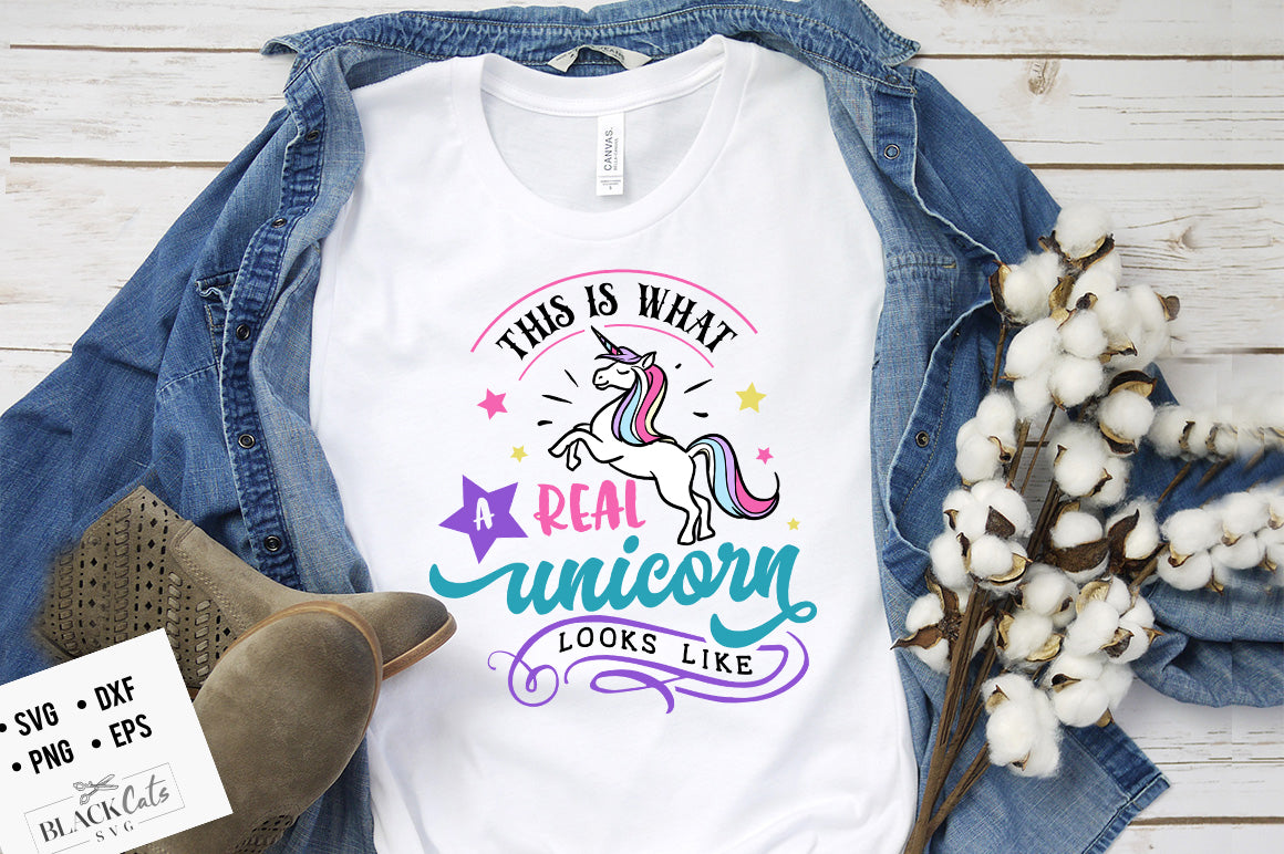 This is What a Real Unicorn SVG File