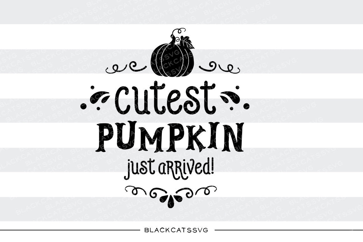 Cutest pumpkin just arrived - SVG file Cutting File Clipart in Svg, Eps, Dxf, Png for Cricut & Silhouette - BlackCatsSVG