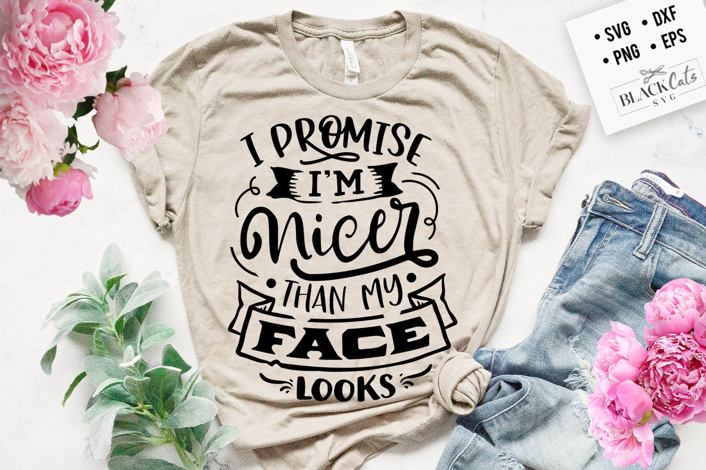 I promise I'm nicer than my face looks SVG, Sassy svg , Sarcastic SVG, Funny svg, Sarcasm Svg, Snarky Humor SVG