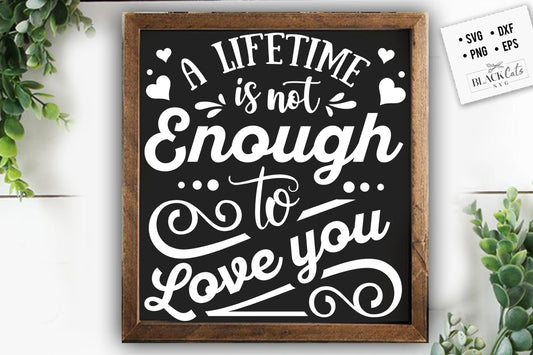 A lifetimes is not enough SVG