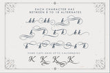 Beradon Script - Elegant Wedding font