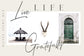 Divine Light Font Duo and extras