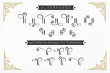 Vondey - Holiday font & ornaments