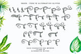 Amastery Font DUO and extras
