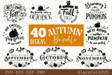 Autumn bundle - 40 SVG file Cutting File Clipart in Svg, Eps, Dxf, Png for Cricut & Silhouette