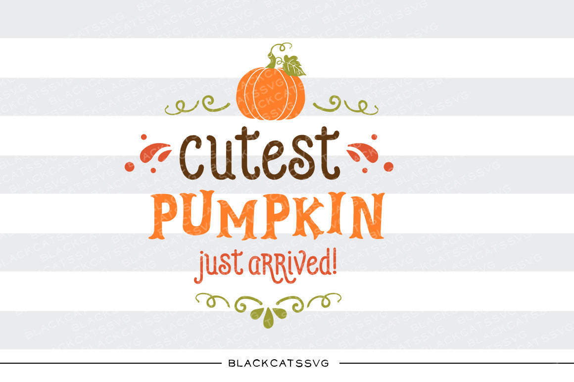 Cutest pumpkin just arrived -  SVG file Cutting File Clipart in Svg, Eps, Dxf, Png for Cricut & Silhouette - BlackCatsSVG