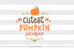 Cutest pumpkin just arrived -  SVG file Cutting File Clipart in Svg, Eps, Dxf, Png for Cricut & Silhouette - BlackCatsSVG