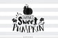 Little sweet pumpkin  -  SVG file Cutting File Clipart in Svg, Eps, Dxf, Png for Cricut & Silhouette - BlackCatsSVG