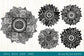 Sunflower Zentangle Bundle SVG