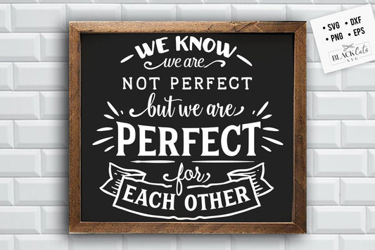 We know we are not perfect SVG, Valentine's Day SVG, Valentine Shirt Svg, Love Svg