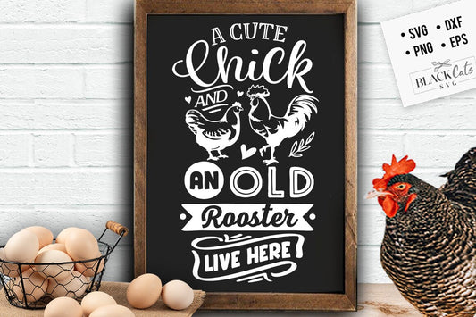 A cute chick and an old rooster live here svg, Chicken svg, Funny chickens svg, coop svg, Farmhouse chicken svg, Sarcastic chicken svg